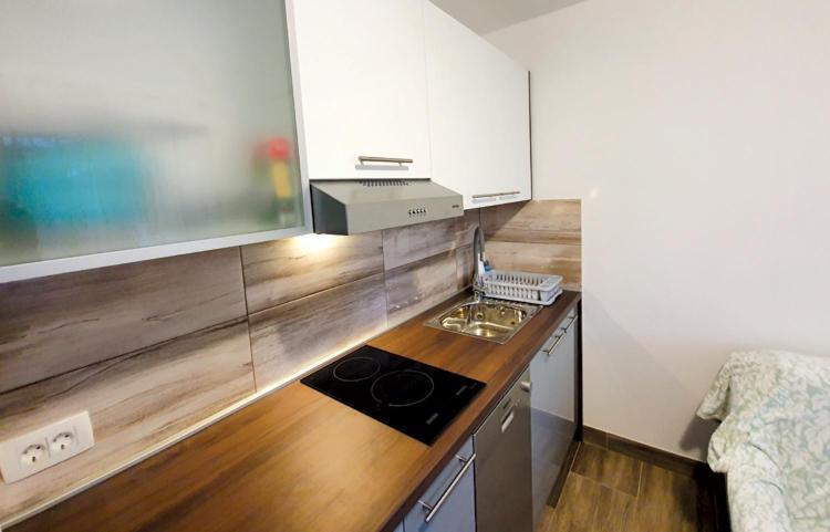 Apartmani Kurjakovic - פונאנט מראה חיצוני תמונה