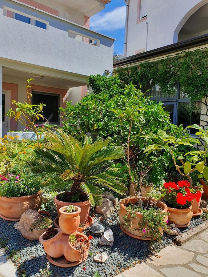 Apartmani Kurjakovic - פונאנט מראה חיצוני תמונה